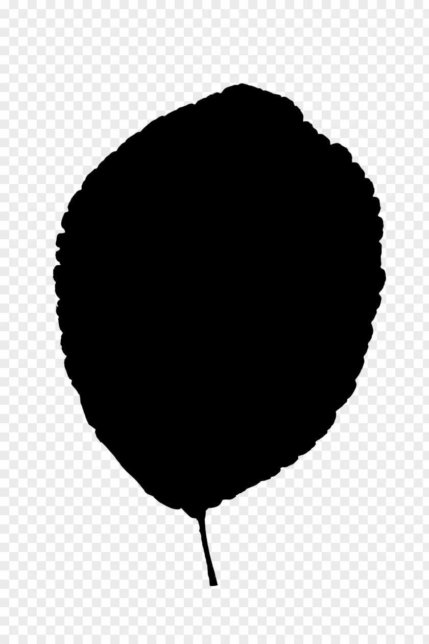 M Leaf Font Silhouette Line Black & White PNG