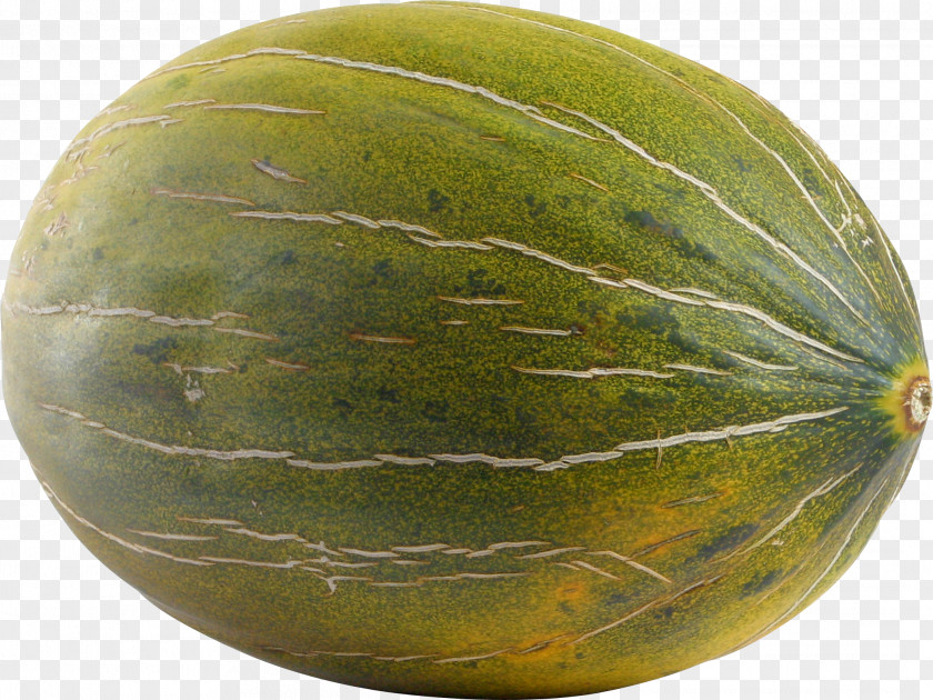 Melon Honeydew Cantaloupe Watermelon Fruit PNG