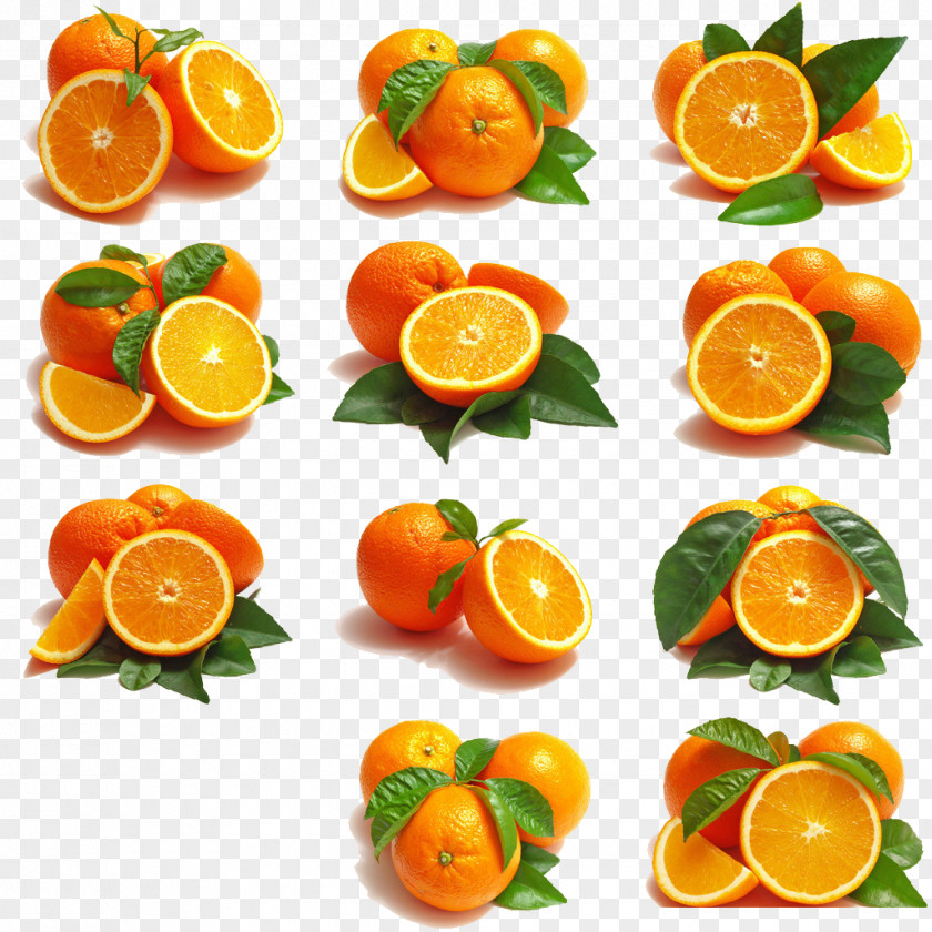 Orange 11 Paragraph Citrus Xd7 Sinensis Fruit Embroidery Clip Art PNG