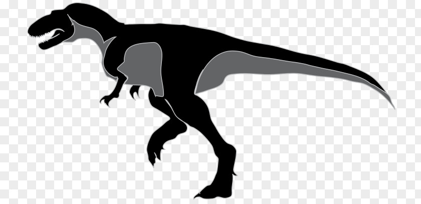 Dinosaur Tyrannosaurus Alectrosaurus Clip Art Openclipart PNG