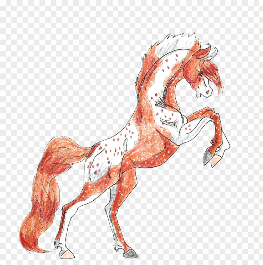 Mustang Canidae Pony Mane Drawing PNG