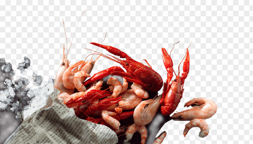 Shrimps Rud. Kanzow GmbH & Co. KG Seafood Crayfish As Food PNG