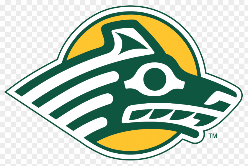 Basketball University Of Alaska Anchorage Seawolves Women's Men's Ice Hockey Fairbanks PNG