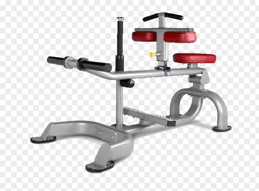 Bench Exercise Equipment Fitness Centre Physical Calf Raises PNG