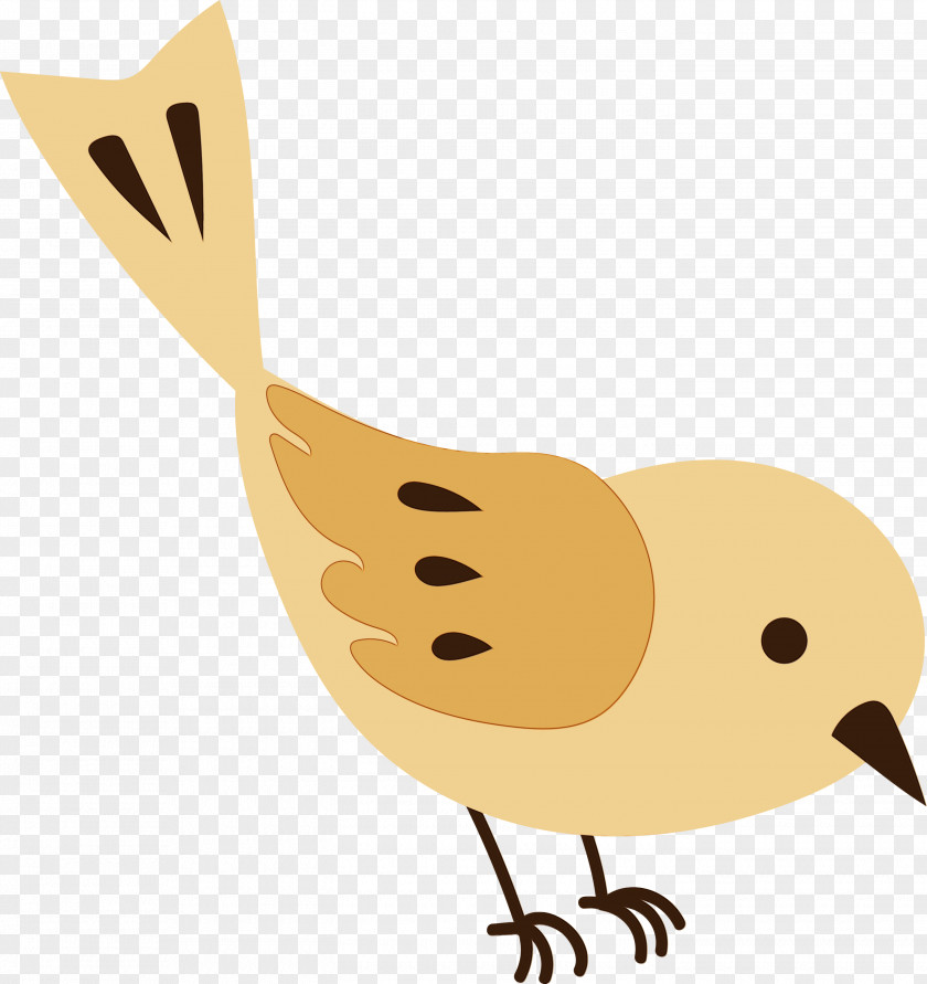 Chicken Ducks Water Bird Birds Beak PNG