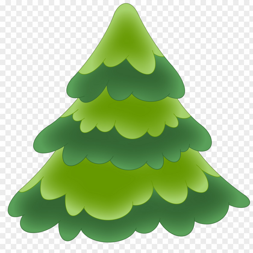 Christmas Tree Ornament Spruce Educator PNG