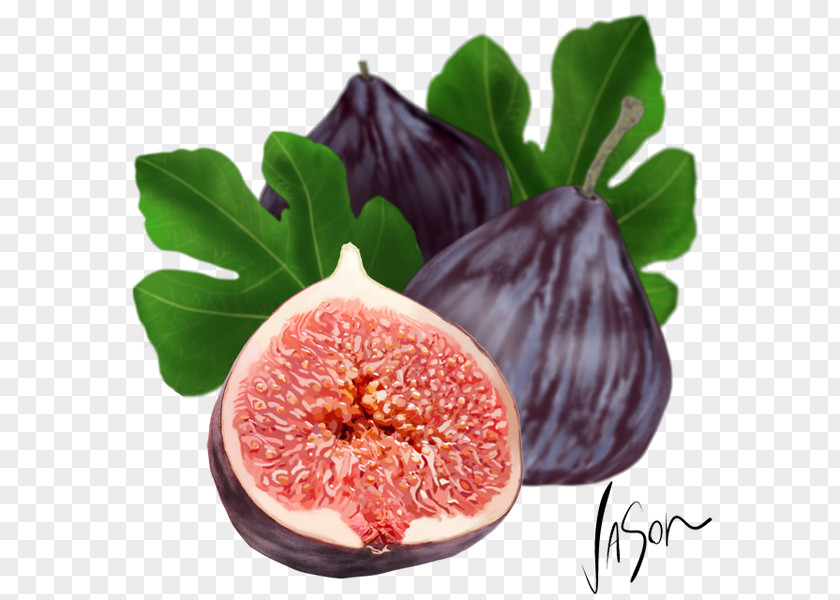 Common Fig Fruit Leaf Cake PNG