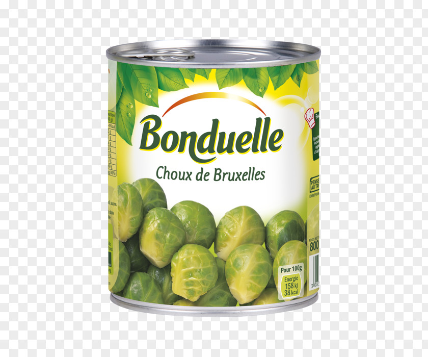 Flageolet Bean Green Can Ragout Cuisine PNG