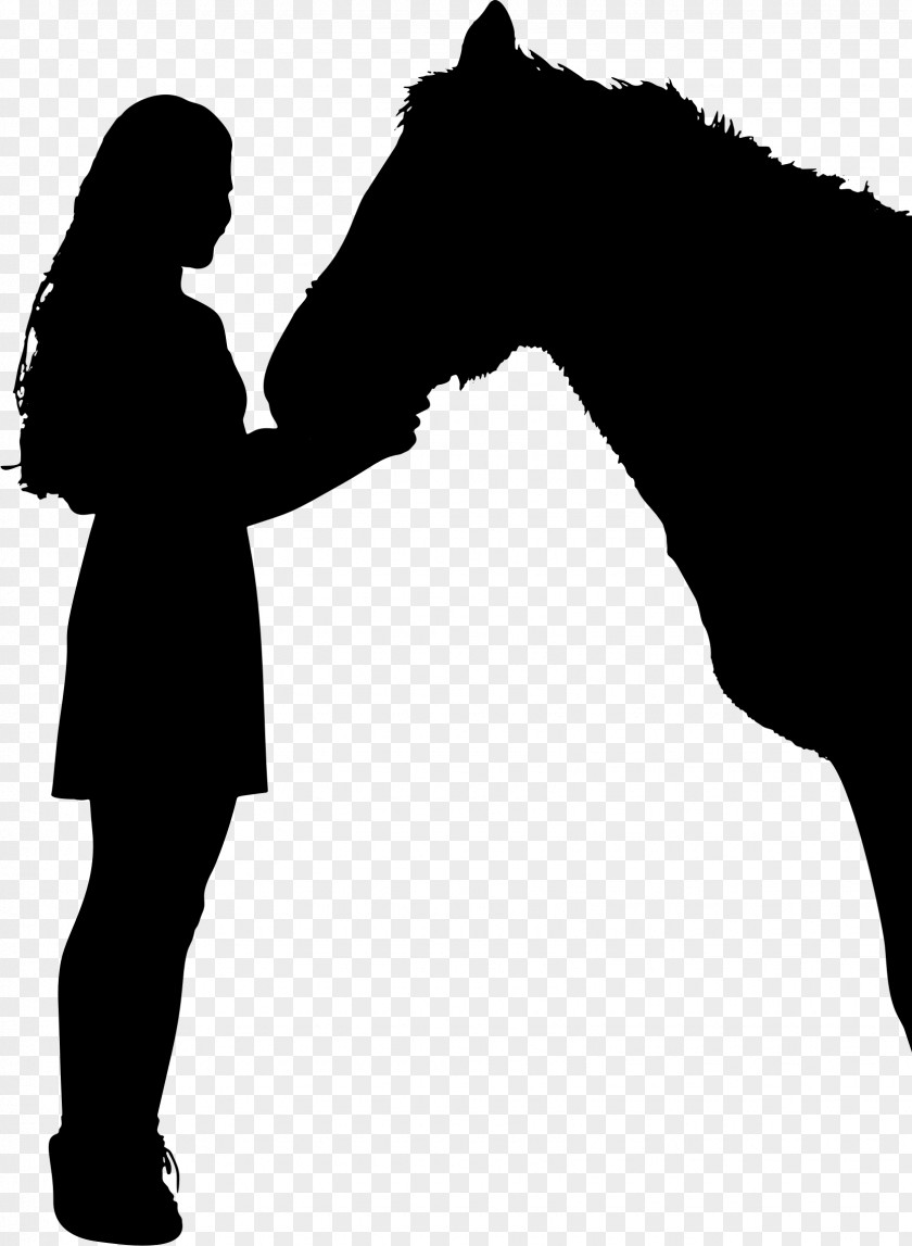Horse Equestrian Silhouette Female Clip Art PNG