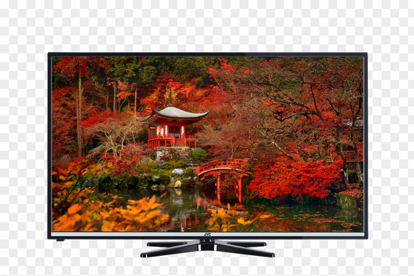 Miracast Daigo-ji JVC H30 Series Display Resolution High-definition Television Desktop Wallpaper PNG