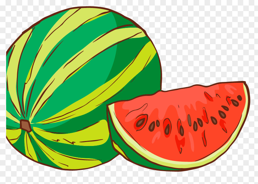 Wassermelone Pattern Watermelon Clip Art Vector Graphics Design Dribbble PNG