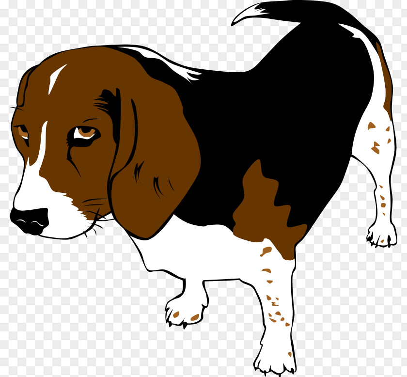 Animal Cliparts Beagle Puppy Mans Best Friend Clip Art PNG