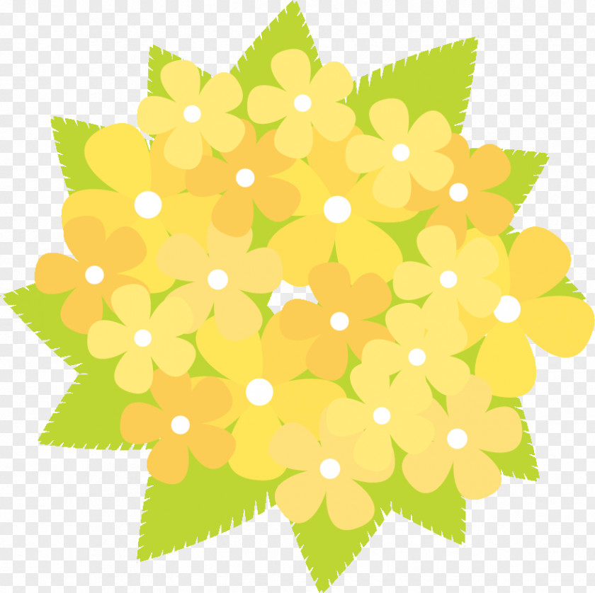 Floral Design Petal Pattern Flower PNG