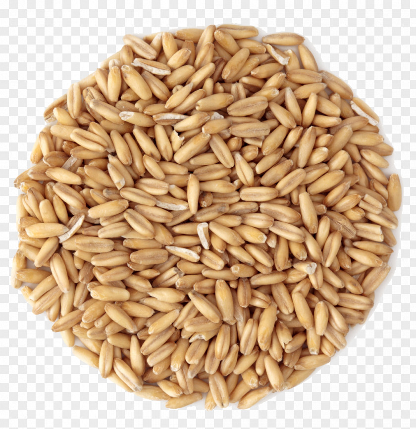 Oats Organic Food Cereal Grain Groat PNG