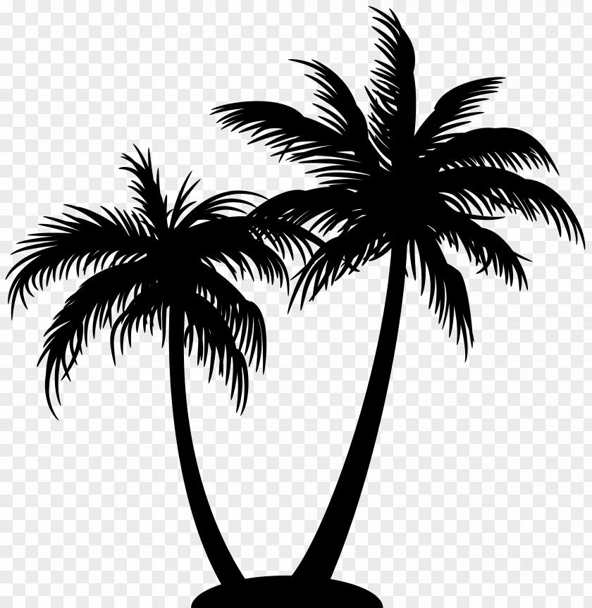 Palms Silhouette Clip Art Image St. George Utah Senior Citizen Center Hillside RV & Mobile Home PNG