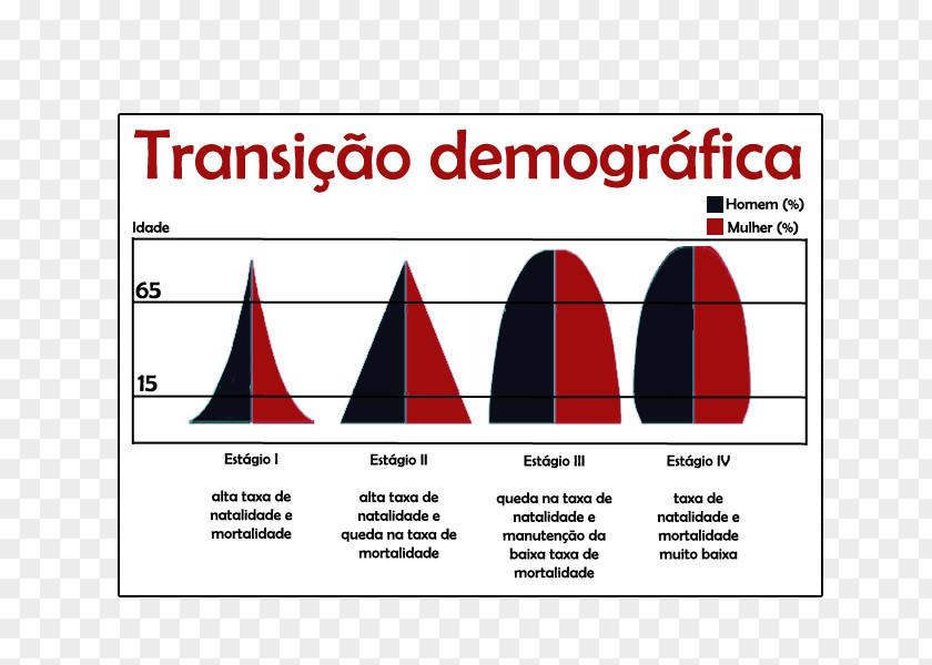 R Word Population Pyramid Demographic Transition Birth Rate Geography PNG