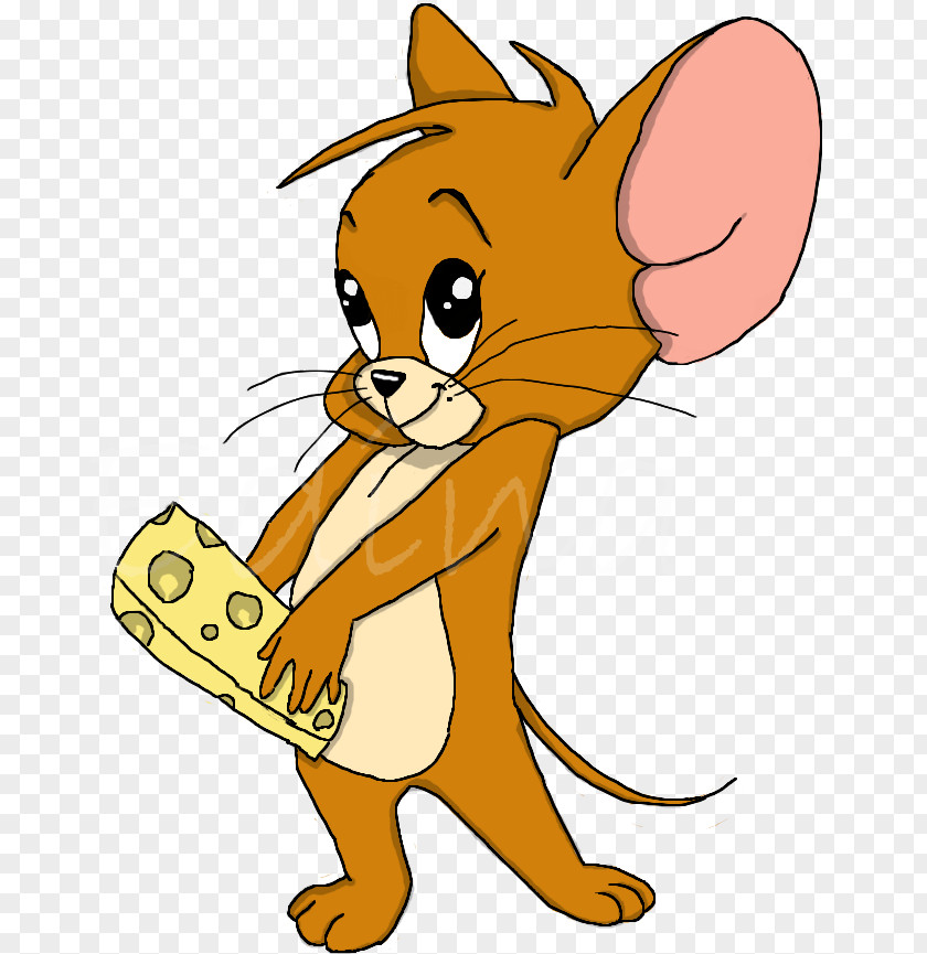 Tom And Jerry Mouse Coloring Cat Drawing PNG