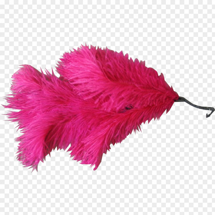 Women Day Pink Poster Fascinator Feather Boa Stock Photography Hat PNG