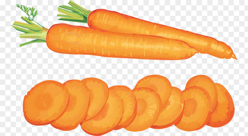 Carrot Salad Desktop Wallpaper Clip Art PNG