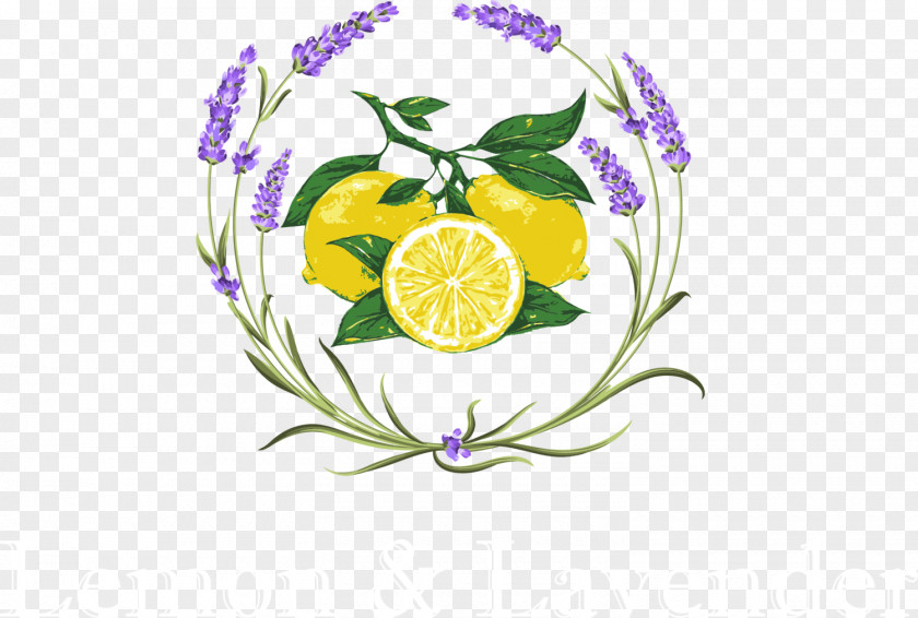 Lavender Clipart Lemon & Flower Vector Graphics Clip Art PNG