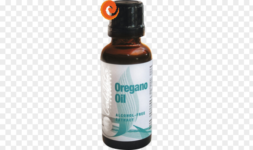 Oil Oregano Essential Herb Plant PNG