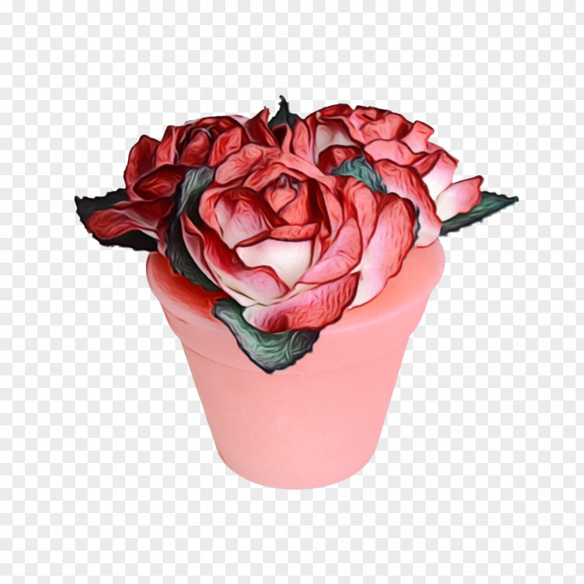 Plant Cut Flowers Garden Roses PNG