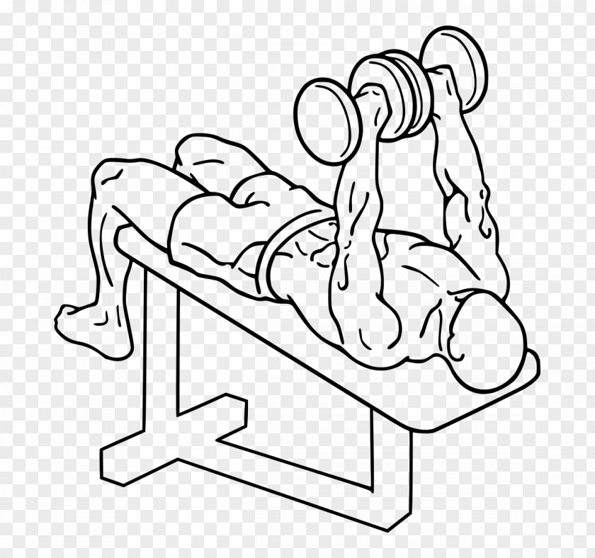 Bench Press Physical Exercise Dumbbell Overhead PNG