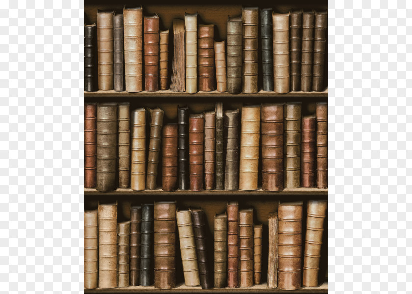 Book Bookcase Shelf Paper Wallpaper PNG