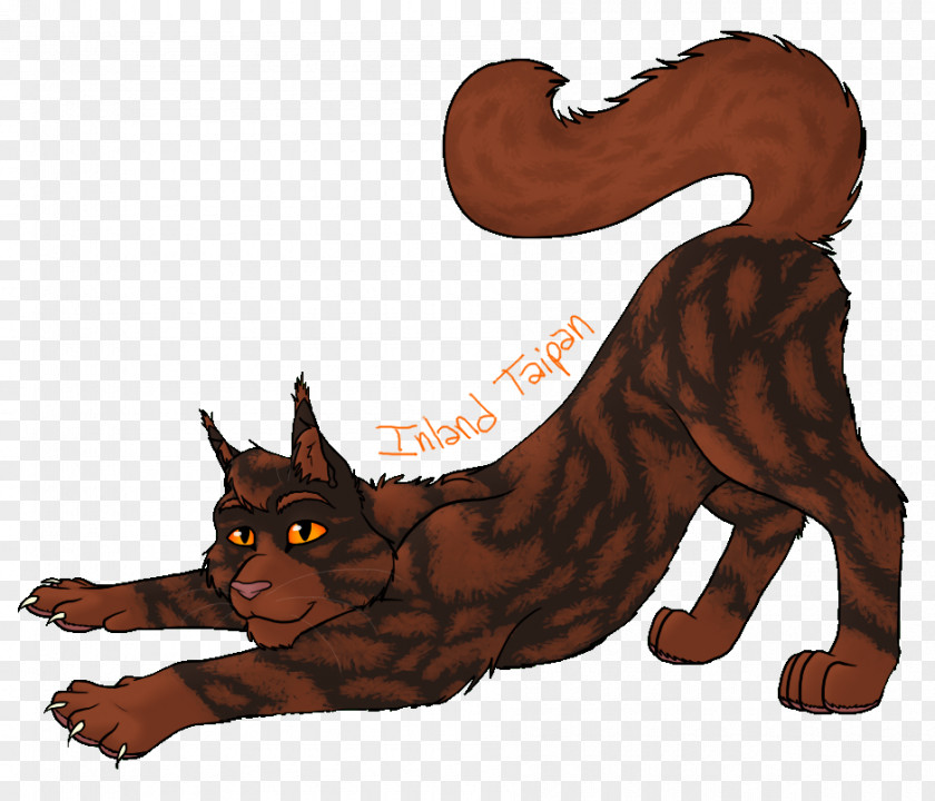 Cat Drawing DeviantArt PNG