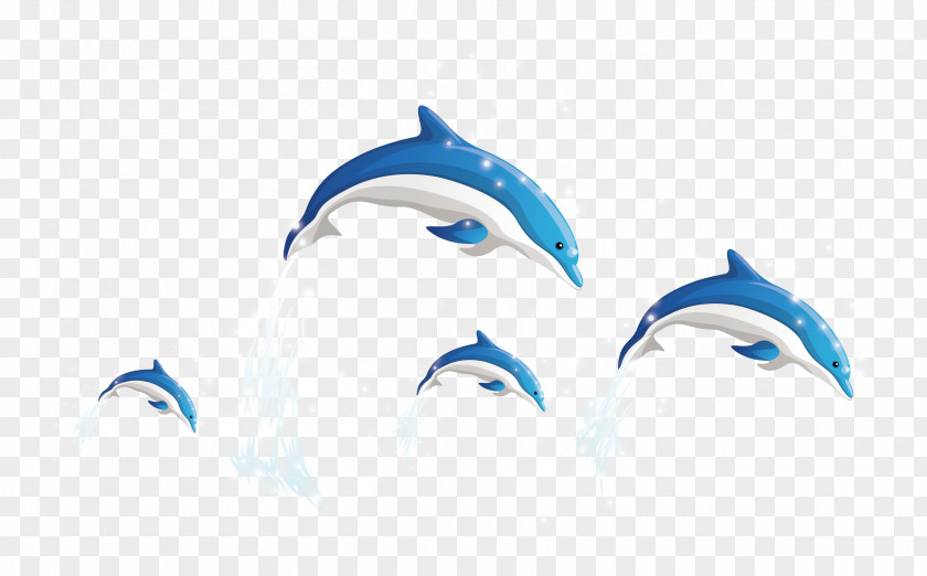 Dolphins Vector Dolphin Wallpaper PNG