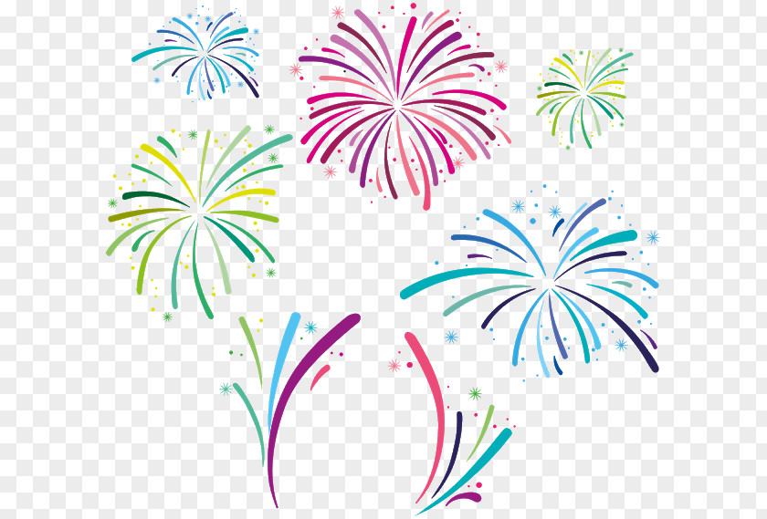 Fireworks Vector Graphics Graphic Design Illustration PNG