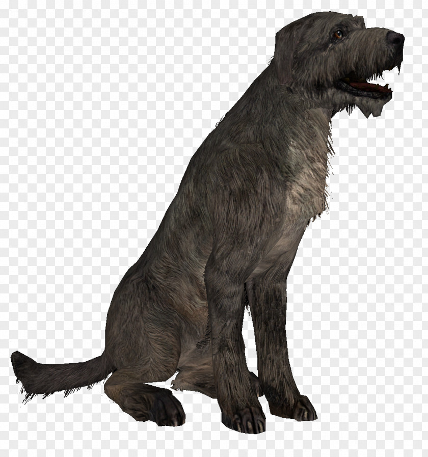 Jingdong Dog Breed The Elder Scrolls V: Skyrim Irish Wolfhound Puppy Scottish Deerhound PNG