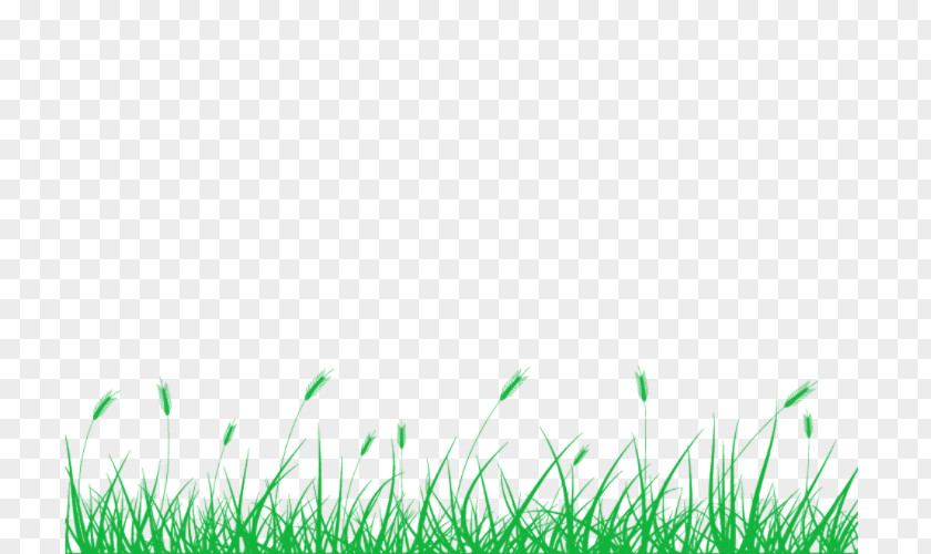 Powerpoint Presentation Lawn Pens Meadow Grasses PNG