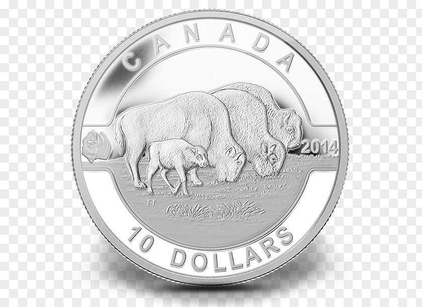 Royal Canadian Mint Canada Silver Coin PNG