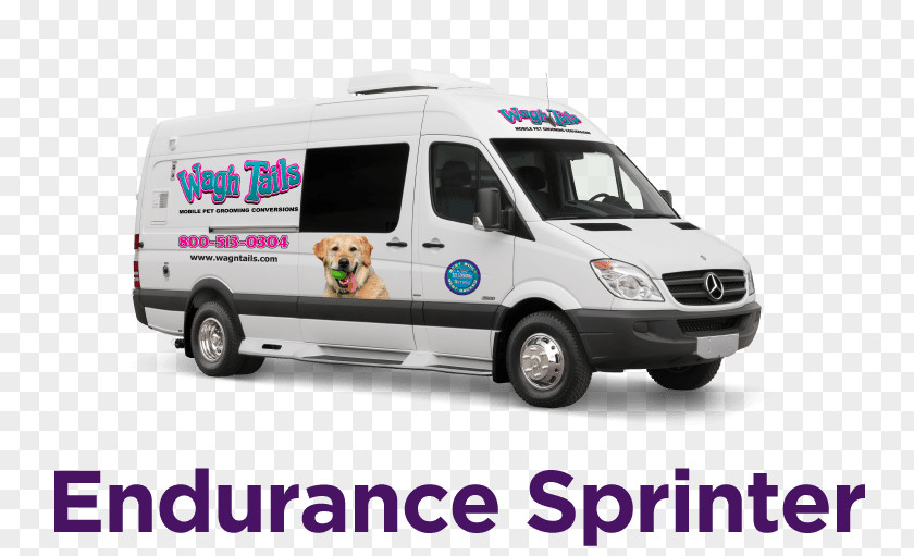 Sprinter Dog Grooming Pet Sitting Cat PNG