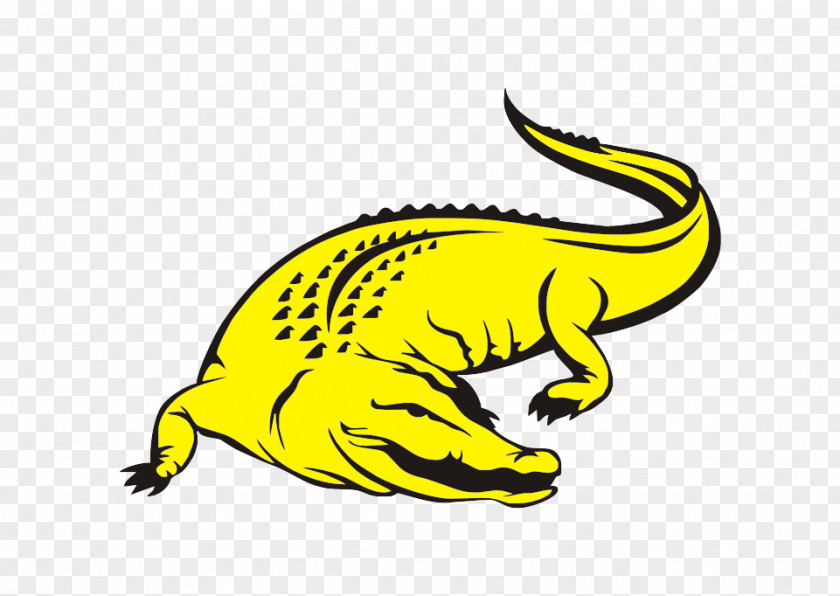 Crocodile Drawing Logo PNG