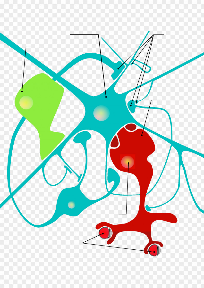 Glial Cells Clip Art Neuroglia Neuron Astrocyte Cell PNG
