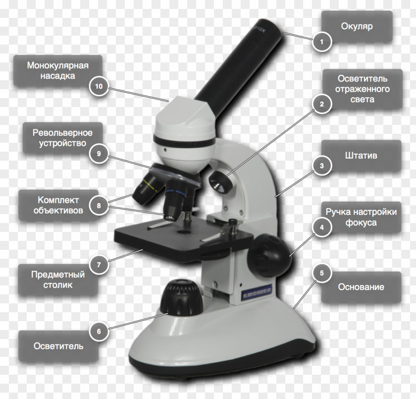 Microscope Magnification Medicine Medical Equipment Knowledge PNG