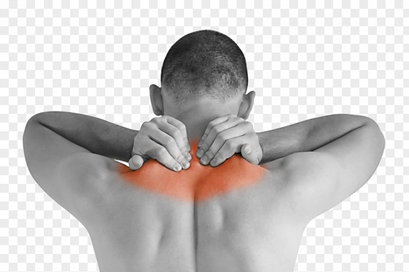 Neck Pain Massage Physical Therapy Manual PNG