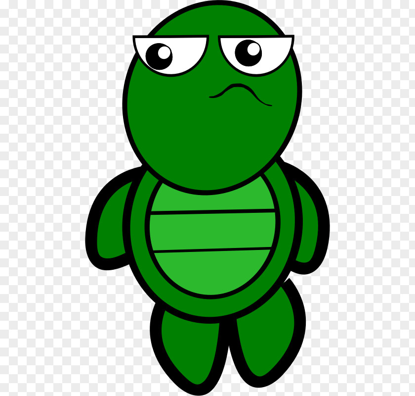 Picture Of Cartoon Turtle Green Sea Clip Art PNG