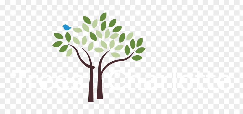 Tree Planting Organization Canopy Non-profit Organisation PNG