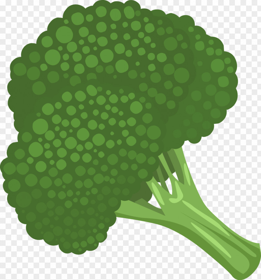Vector Cauliflower Broccoli Vegetable Clip Art PNG