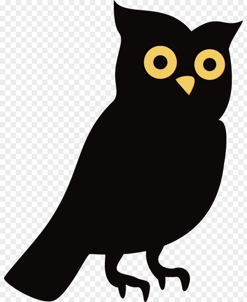 Western Screech Owl Blackandwhite Bird Eastern Of Prey Beak PNG