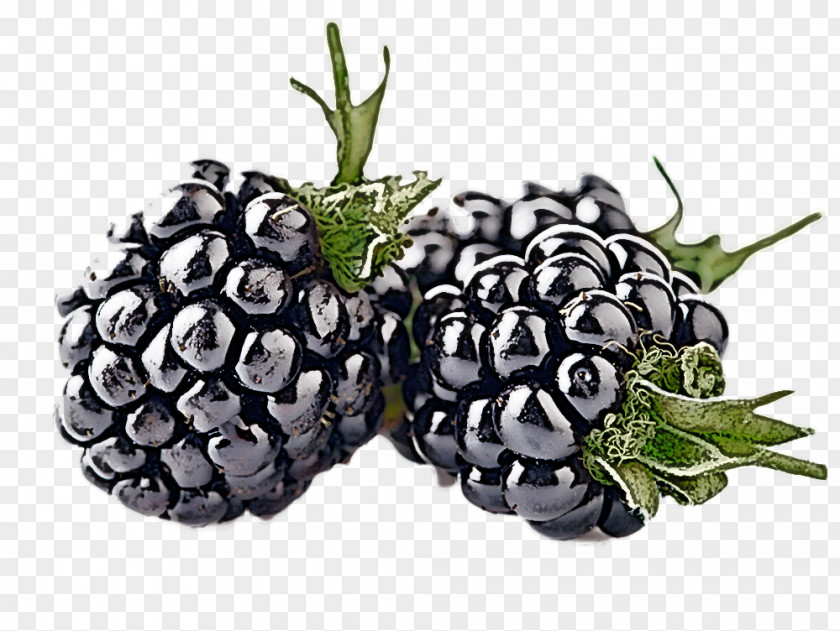 Berry Blackberry Fruit Plant Natural Foods PNG