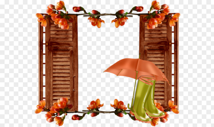 Flower Picture Frames PNG