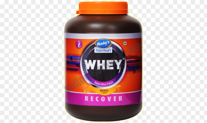 India Dietary Supplement Whey Protein Sports Nutrition PNG