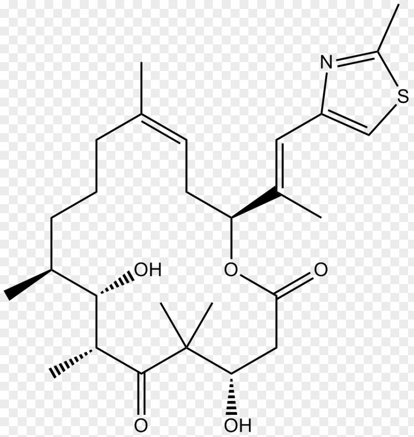 Polyketide Epothilone Microtubule Tubulin Enzyme Inhibitor Pharmaceutical Drug PNG