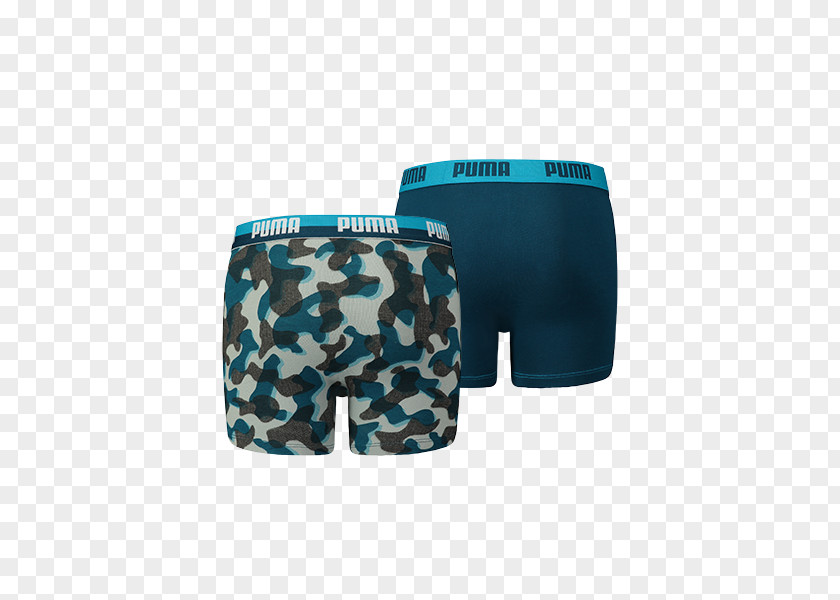 Six Pack Abs Swim Briefs Boxer Shorts Puma PNG