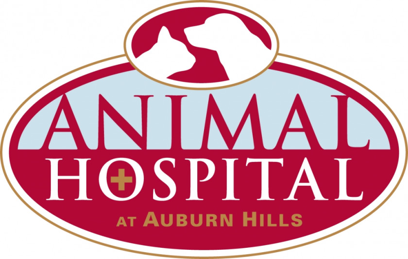 Animal Hospital Maple Orchard At Auburn Hills Veterinarian Boxer Chisholm Trail PNG