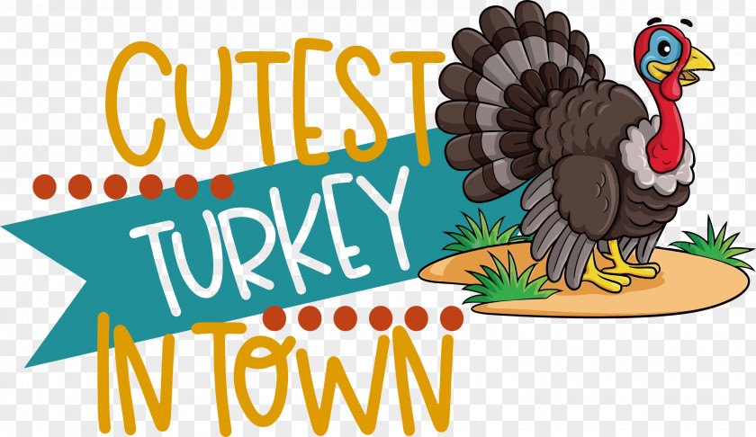 Cutest Turkey Thanksgiving Turkey PNG